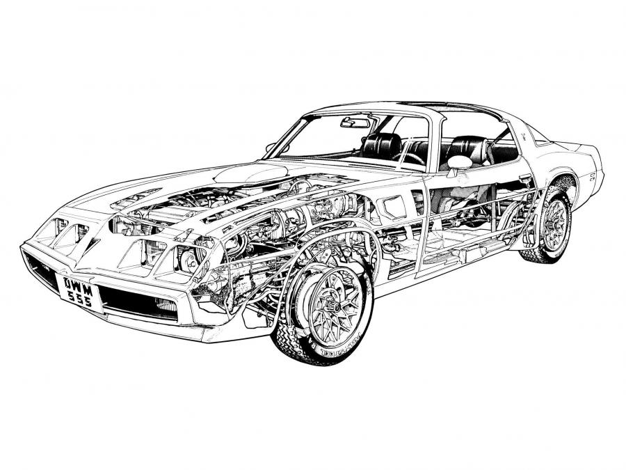  Pontiac Firebird Trans Am 1980 года  (фото 2 из 2)
